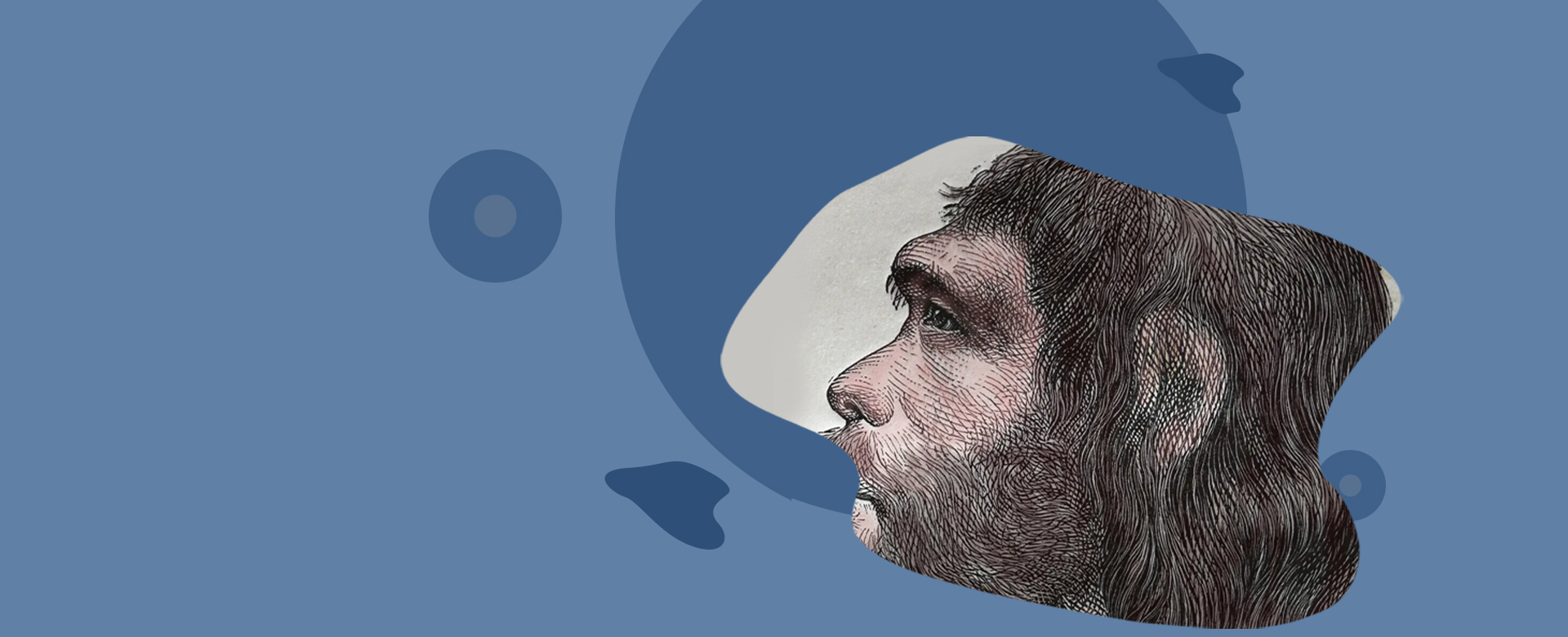 human-evolution